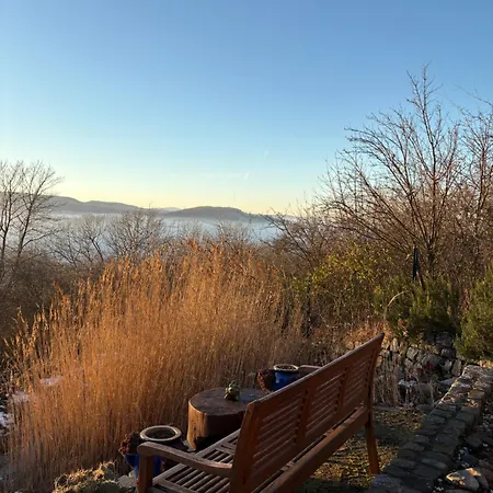 Am Bueckeberg Mit Brockenblick Quedlinburg