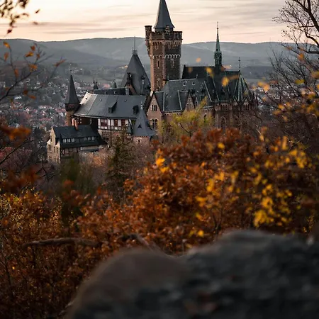 Am Bueckeberg Mit Brockenblick