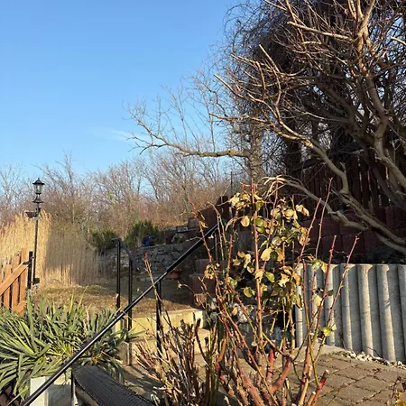 Am Bueckeberg Mit Brockenblick * كيدلينبورغ