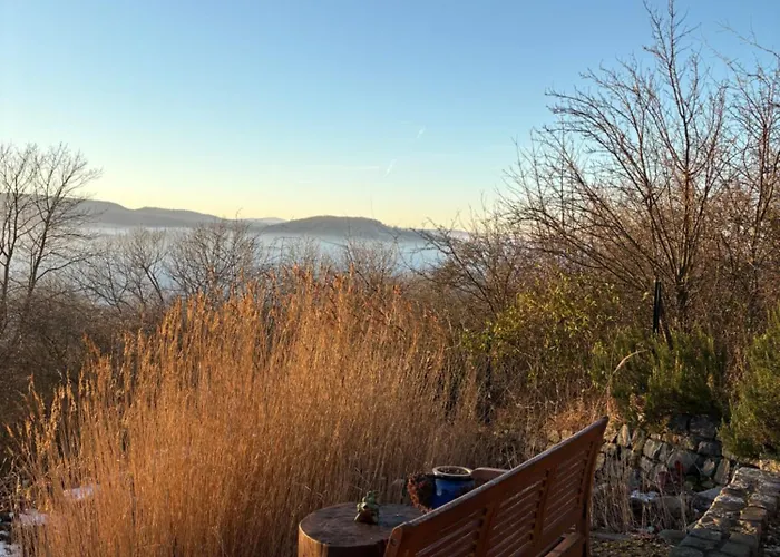 Am Bueckeberg Mit Brockenblick كيدلينبورغ