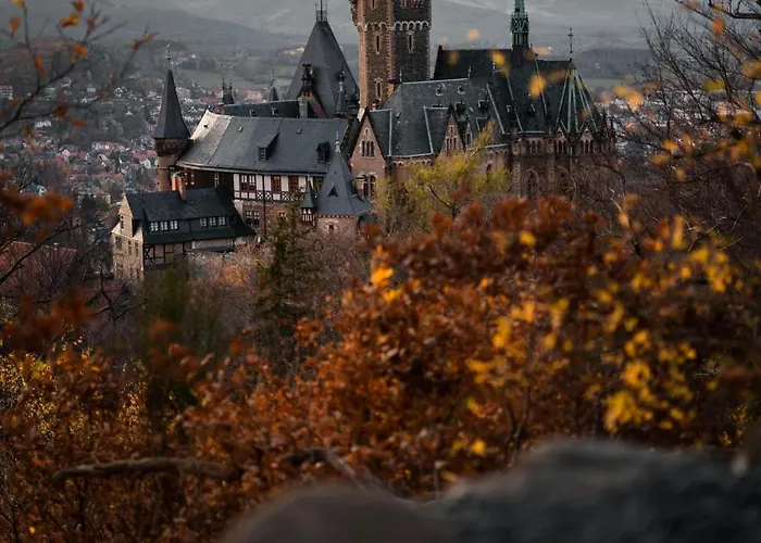 Am Bueckeberg Mit Brockenblick
