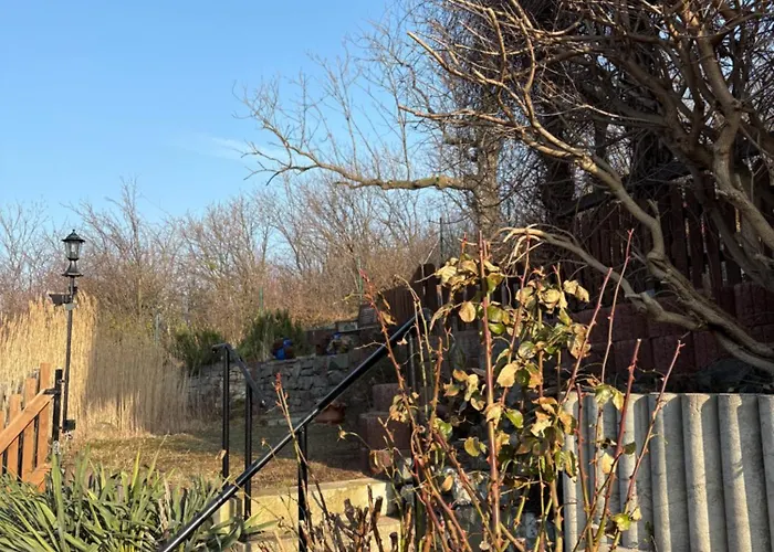 Am Bueckeberg Mit Brockenblick * Quedlinburg