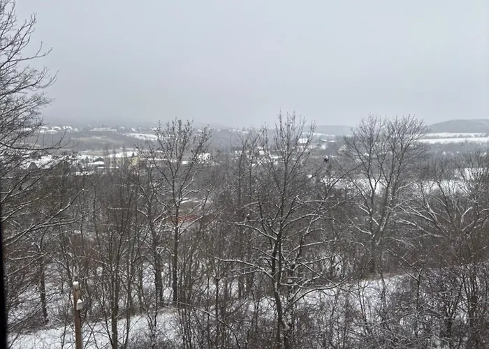 Am Bueckeberg Mit Brockenblick Semesterbostad